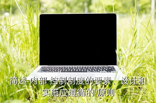 簡述 內部 控制制度的要素、設計和實施應遵循的 原則