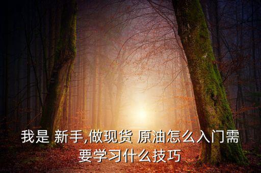 我是 新手,做現貨 原油怎么入門需要學習什么技巧