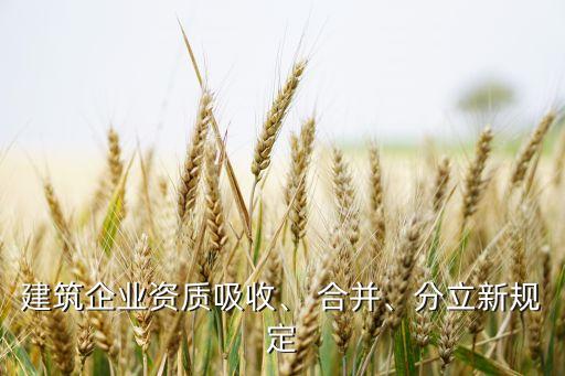 建筑企業(yè)資質(zhì)吸收、 合并、分立新規(guī)定