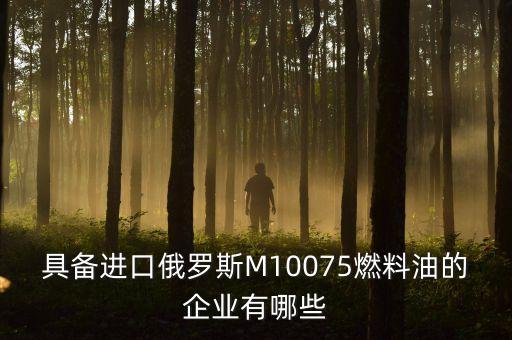 具備進口俄羅斯M10075燃料油的企業(yè)有哪些
