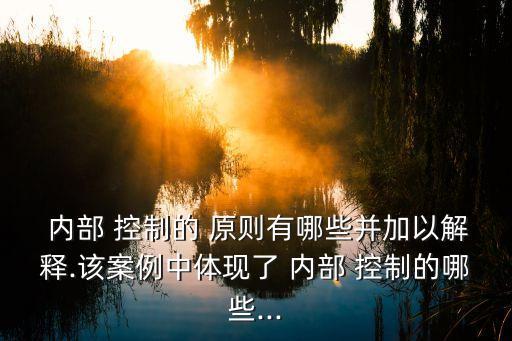  內部 控制的 原則有哪些并加以解釋.該案例中體現了 內部 控制的哪些...