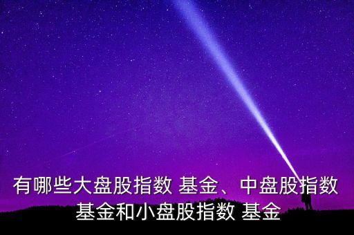 有哪些大盤股指數(shù) 基金、中盤股指數(shù) 基金和小盤股指數(shù) 基金