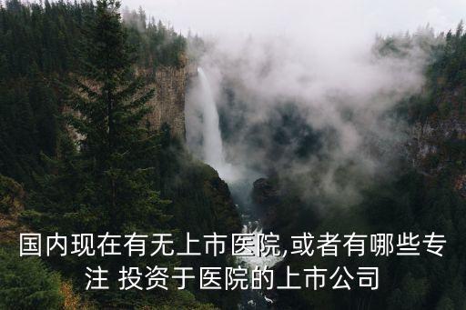 國(guó)內(nèi)現(xiàn)在有無(wú)上市醫(yī)院,或者有哪些專注 投資于醫(yī)院的上市公司