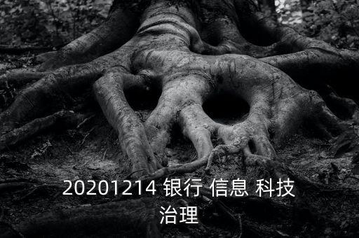 銀行信息科技風(fēng)險(xiǎn)期刊