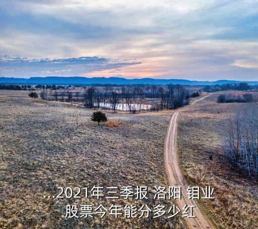 ...2021年三季報(bào) 洛陽(yáng) 鉬業(yè) 股票今年能分多少紅