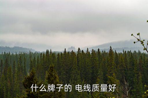什么牌子的 電線(xiàn)質(zhì)量好