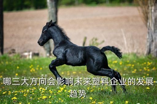 天業(yè)集團董事長,新疆天業(yè)集團董事長