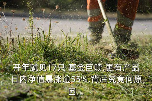 大額贖回基金影響,機(jī)構(gòu)大額贖回基金對個人是好還是不好