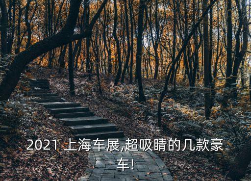 上海整車(chē)進(jìn)口,bj90是整車(chē)進(jìn)口的嗎