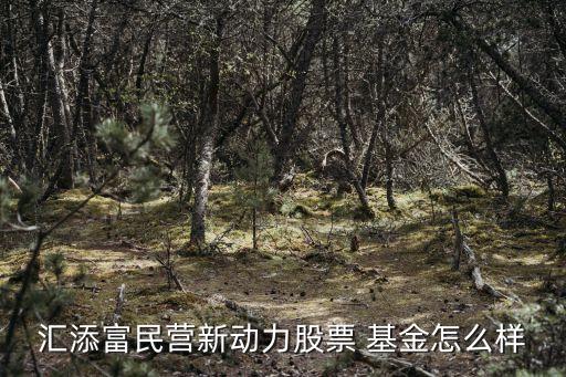 匯添富民營新動力股票 基金怎么樣