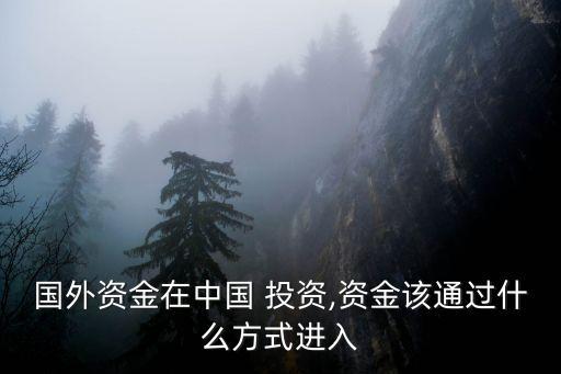 國(guó)外資金在中國(guó) 投資,資金該通過(guò)什么方式進(jìn)入
