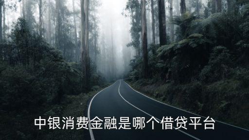 中銀消費(fèi)金融是哪個借貸平臺