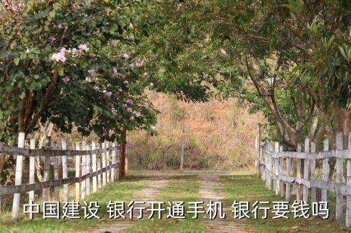 中國(guó)建設(shè) 銀行開(kāi)通手機(jī) 銀行要錢嗎