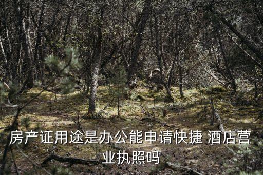 房地產(chǎn)公司以固定資產(chǎn)作為注冊(cè)資本成立酒店