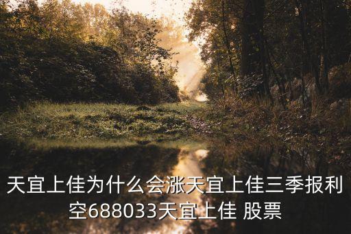 天宜上佳為什么會(huì)漲天宜上佳三季報(bào)利空688033天宜上佳 股票