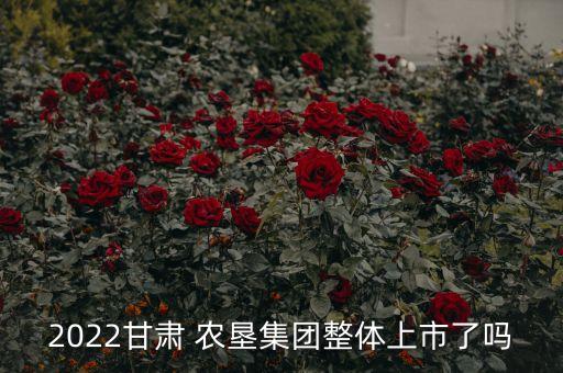 2022甘肅 農(nóng)墾集團(tuán)整體上市了嗎
