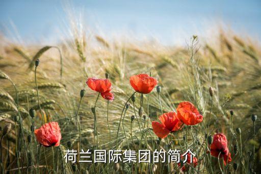 荷蘭國際集團的簡介