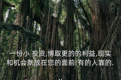 一份小 投資,博取更的的利益,現(xiàn)實和機(jī)會就放在您的面前!有的人靠的...