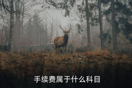  手續(xù)費屬于什么科目