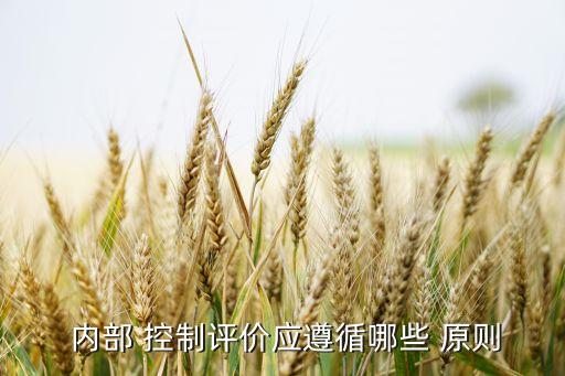 商業(yè)銀行內部控制的原則包括,下列符合商業(yè)銀行內部控制原則的是