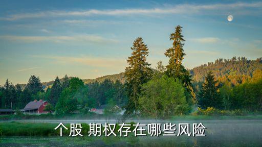 個股 期權(quán)存在哪些風(fēng)險