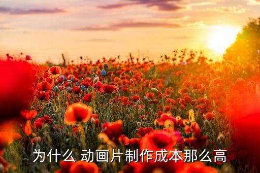 為什么 動(dòng)畫片制作成本那么高