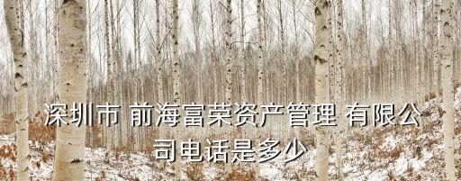  深圳市 前海富榮資產管理 有限公司電話是多少