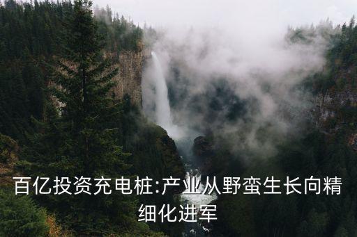 百億投資充電樁:產(chǎn)業(yè)從野蠻生長向精細(xì)化進(jìn)軍