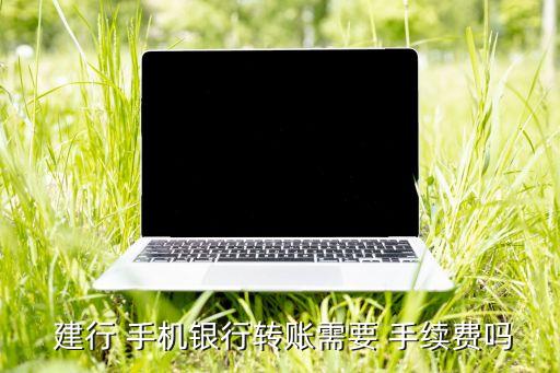  建行 手機(jī)銀行轉(zhuǎn)賬需要 手續(xù)費(fèi)嗎
