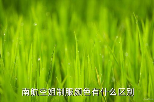 中國南航乘務長男,南航乘務長的要求