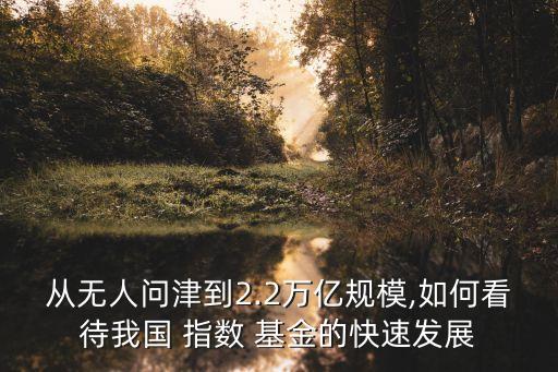 中國(guó)指數(shù)基金論壇,中國(guó)的指數(shù)基金哪只好