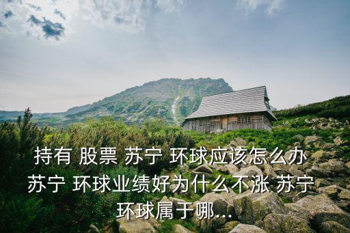 持有 股票 蘇寧 環(huán)球應(yīng)該怎么辦 蘇寧 環(huán)球業(yè)績(jī)好為什么不漲 蘇寧 環(huán)球?qū)儆谀?..