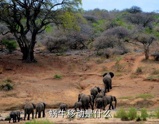 蝸牛免卡上海,蝸牛移動(dòng)國際免卡怎么用