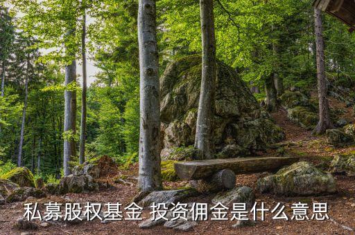 軟銀賽富投資顧問(wèn)