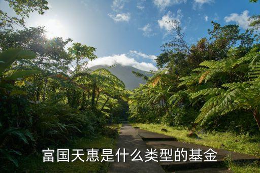 富國(guó)天惠是什么類型的基金