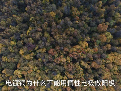沉積銅中國海關