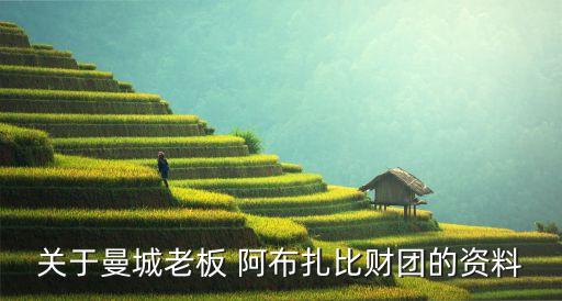 關于曼城老板 阿布扎比財團的資料