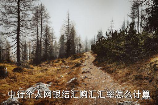 中國銀行遠(yuǎn)期外匯牌價,今日中國銀行外匯牌價表