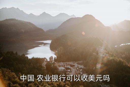 中國(guó) 農(nóng)業(yè)銀行可以收美元嗎
