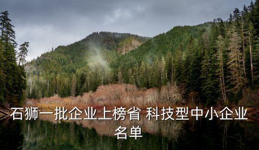 福建華興科技有限責任公司,北京華興眾泰體育科技有限責任公司