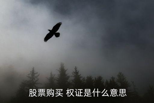 股票購(gòu)買(mǎi) 權(quán)證是什么意思