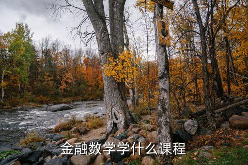 金融數(shù)學學什么課程