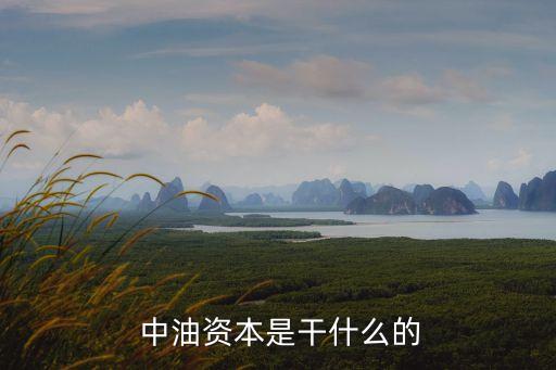  中油資本是干什么的