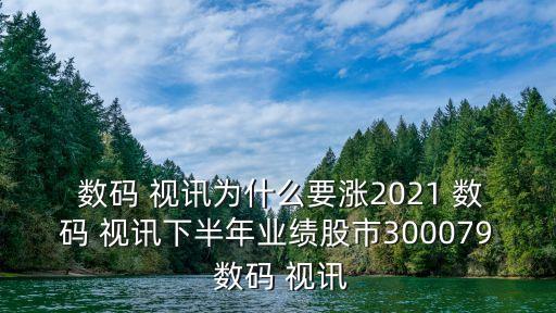 數(shù)碼視訊公司市場規(guī)劃方案
