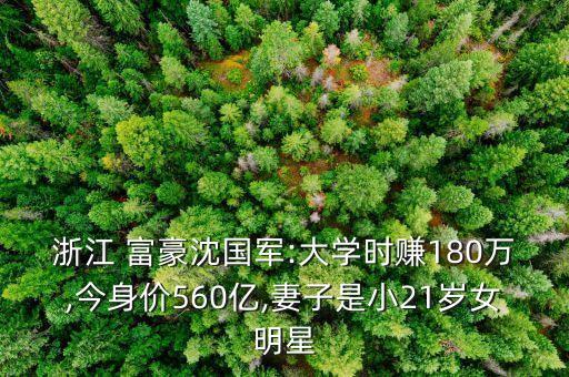 中國(guó)最低調(diào)的富豪,我國(guó)隱形富豪10萬億