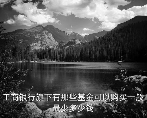工商銀行旗下有那些基金可以購(gòu)買一般最少多少錢