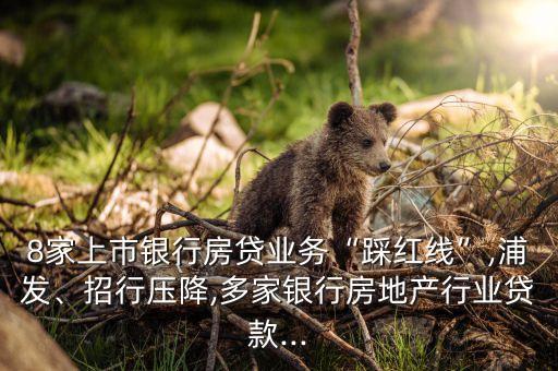 8家上市銀行房貸業(yè)務“踩紅線”,浦發(fā)、招行壓降,多家銀行房地產(chǎn)行業(yè)貸款...