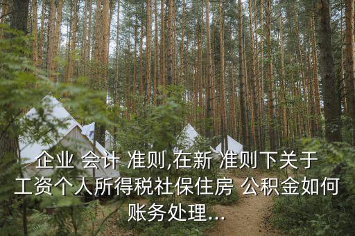企業(yè) 會計(jì) 準(zhǔn)則,在新 準(zhǔn)則下關(guān)于工資個(gè)人所得稅社保住房 公積金如何賬務(wù)處理...