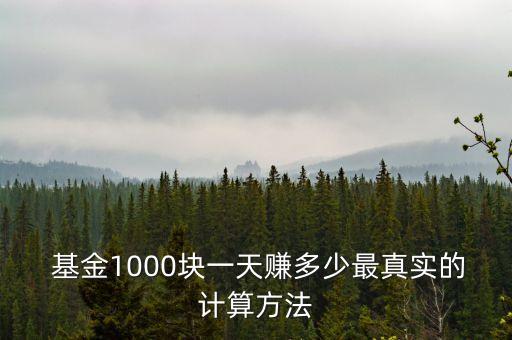  基金1000塊一天賺多少最真實(shí)的計算方法