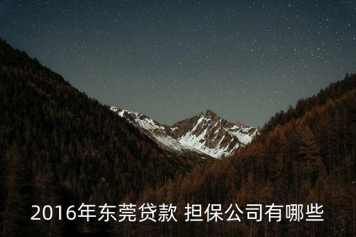 2016年東莞貸款 擔(dān)保公司有哪些